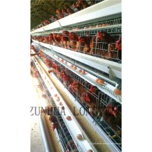 Venta caliente de una capa de aves de corral de jaulas para la granja de pollo de Argelia